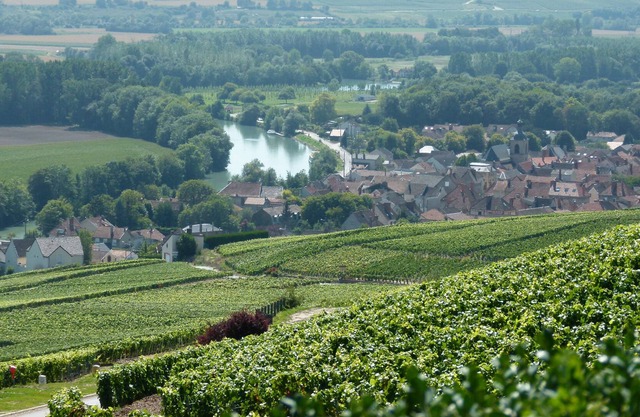 Cottage of 110m2 for 6 pers. in the heart of Champagne, near Epernay