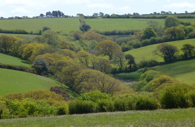 Country cottage near Boscastle, Situated amid the beautiful Cornish Countryside