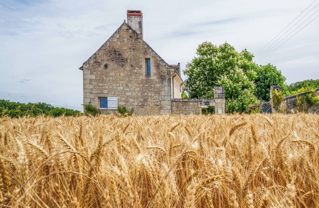 Country House in Southern Touraine with Swimming Pool for 8 Peoplen
