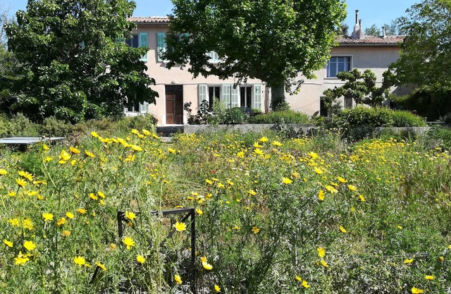 Countryside and old-fashioned swimming pool, 15 minutes from the city center