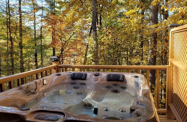 Couples Cabin w/King Bed, Wi-Fi, Hot Tub, & Grill in WNC Mtns