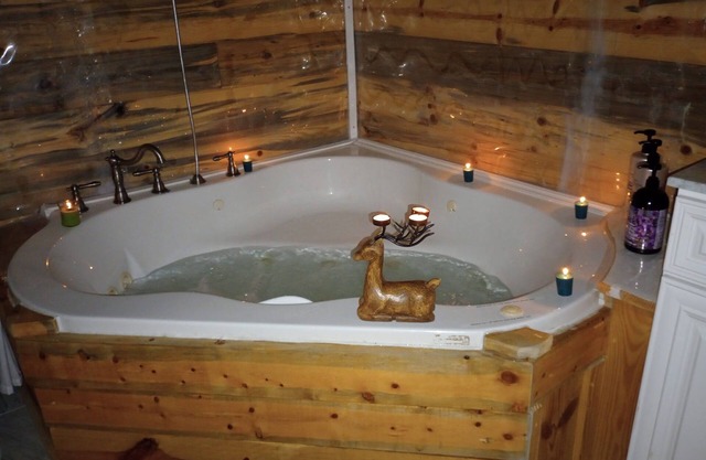 Cozy 2BR Cottage with large Jacuzzi tub/shwer & starry night skys plus fast WIFI