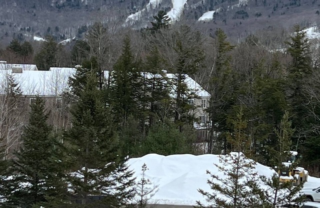 Cozy 3-bedroom new construction condo in Lincoln minutes from Loon Mountain.