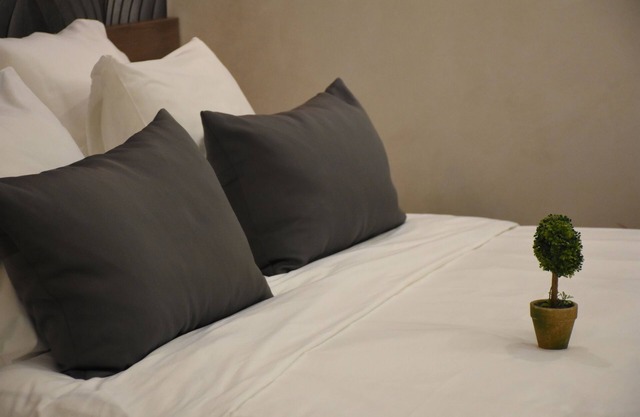 Cozy, clean, charming, new apartment in the city center of Belgrade