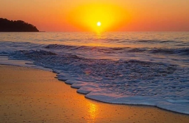 Cozy cottage retreat just minutes from Lo De Marcos Beach