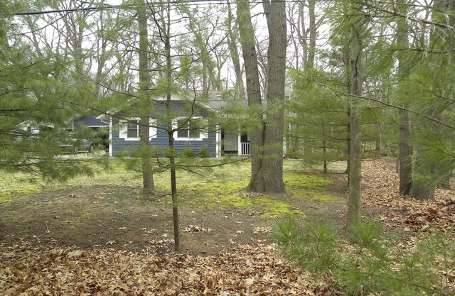 Cozy Cottage with Guest House, 15 minute walk to the beach and Pet Friendly.