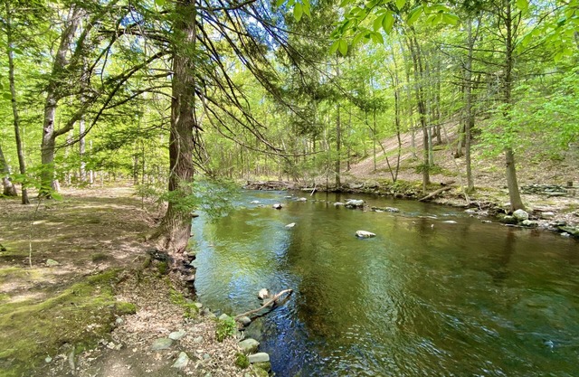 Cozy Forest Creekside Home: jacuzzi, fireplace, firepit+