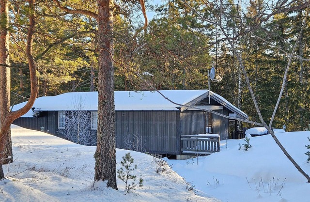 Cozy home in Bø i Telemark