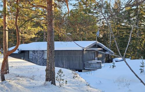 Cozy Home In Bø I Telemark