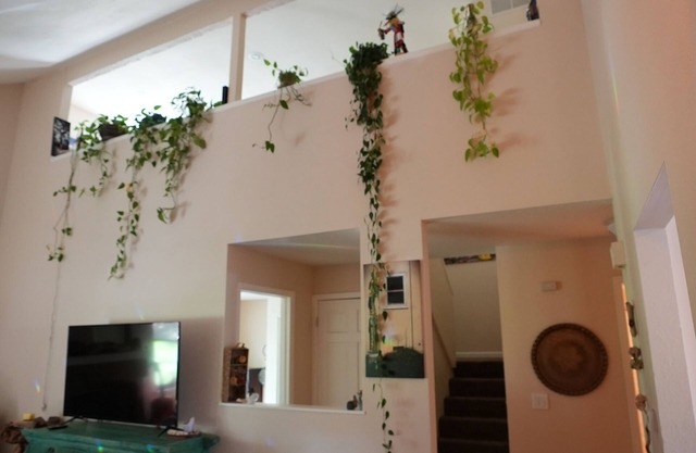 Cozy House + Adventure Pad to Downtown Denver or the Rockies