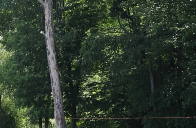 Cozy log home on Amish Trail in Cattaraugus County