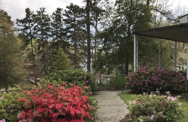 Cozy Retreat on Lake Hartwell- come enjoy Spring on the lake!