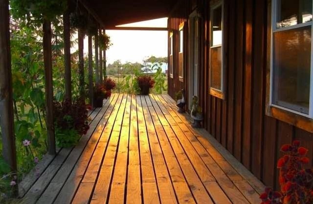 Cozy, rustic cabin with beautiful views, privacy, and 1 mile from Keuka Lake