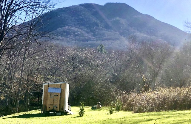 Cozy Streamside Tiny Cabin at The Peak
