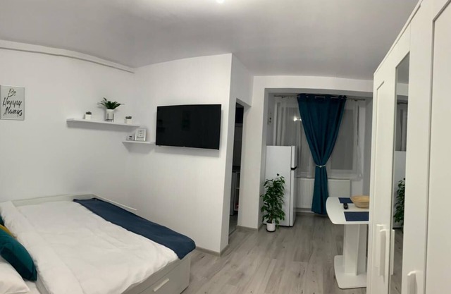 Cozy Studio Apartment Zalau