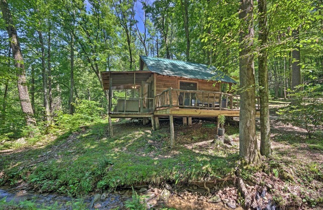 Creekside' Cabin w/Deck in Pisgah Forest!