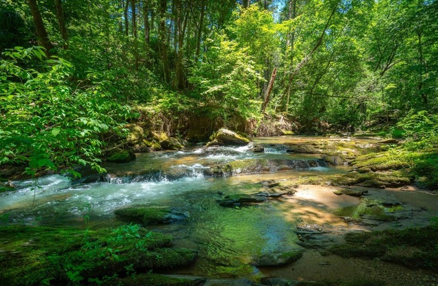 Creekside Oasis– Pet-Friendly Cottage on Town Creek