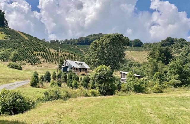Creekside Retreat on 80 Acres- Hike, Fish & Relax