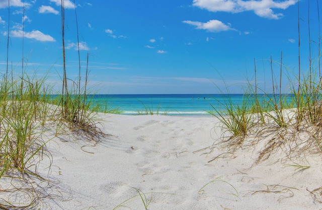 Crescent at Miramar-gulf Front Luxury Condo-free Beach Chairs!