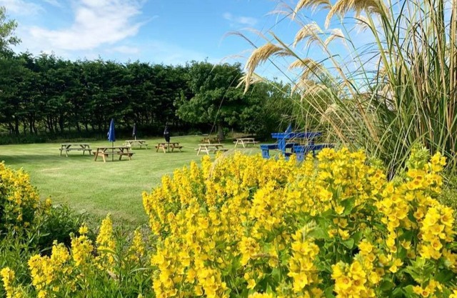 Cullen Bay Hotel