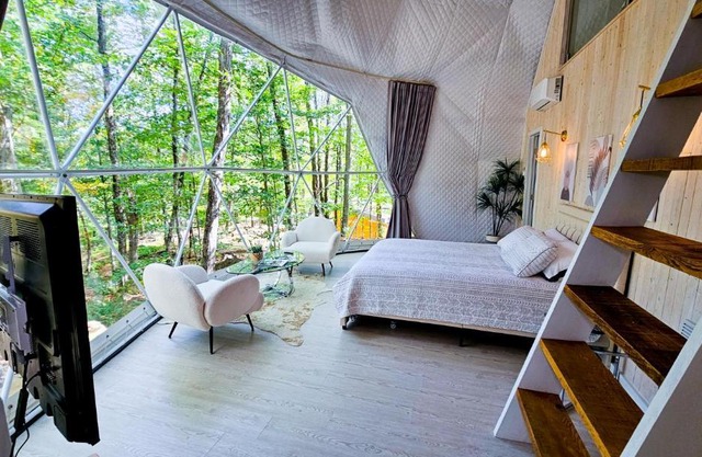 Dôme Le Scandinave