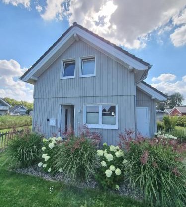 Dünenhase