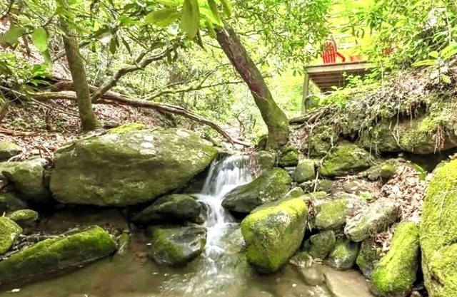 Dancing Bear: Top rated on 2 Private Creek acres w screened porch, WiFi, Grill