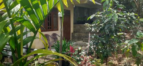 Daresh home stay