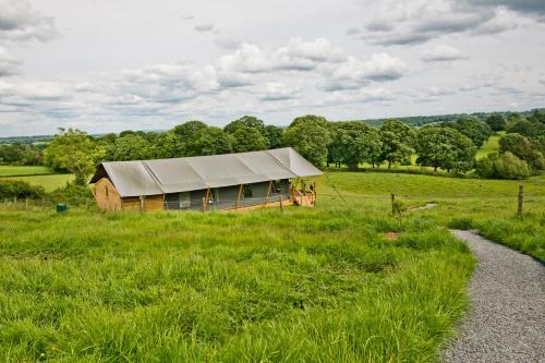 Darnells Farm Glamping
