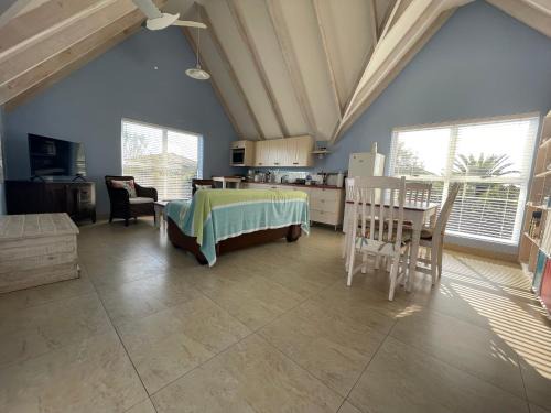 De Blauwvoet - Dolfyn (Sunset Beach)
