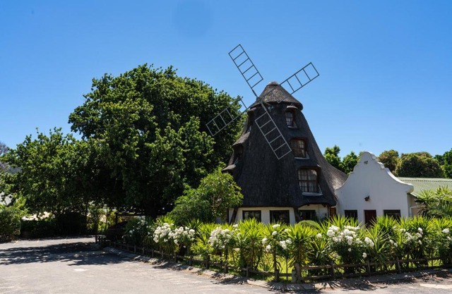 De Hollandsche Molen