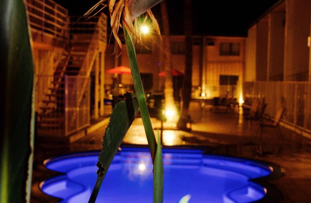Delos Reyes Palm Springs