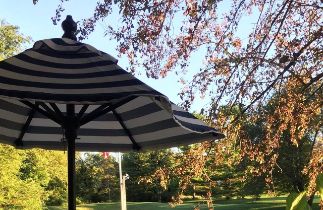 Designer French Country guest suite close to Ann Arbor, U of Michigan, Saline
