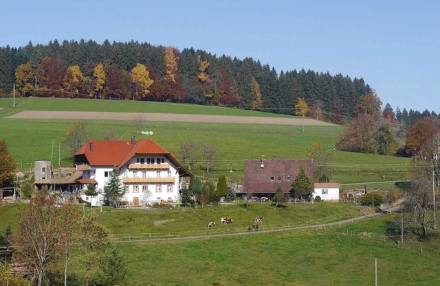 Dischhof - vacation apartment 90sqm, 3 bedrooms, max. 7 pers., 1 - 7 persons