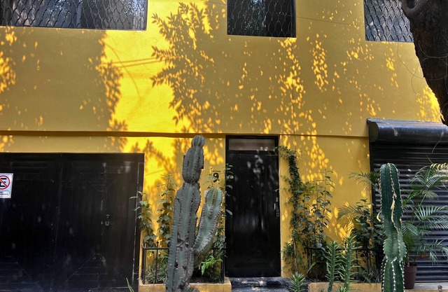 Discover Condesa
