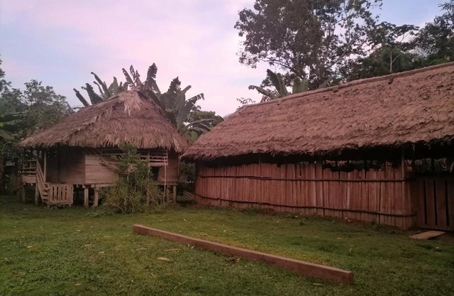 Ditsokata Ú