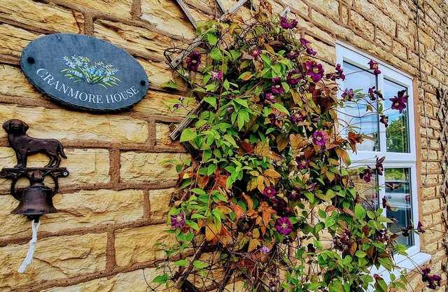 Dog-friendly cottage with walks from the doorstep