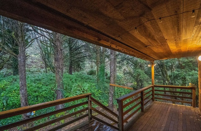 Dog-friendly home by the beach w/ an ocean view, fireplace, & free WiFi