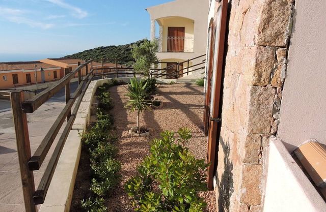 Dolphin apartment with large sea view garden