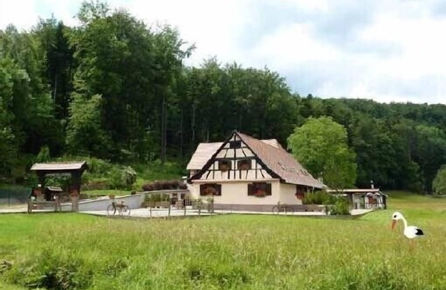 Domaine de la Mossig