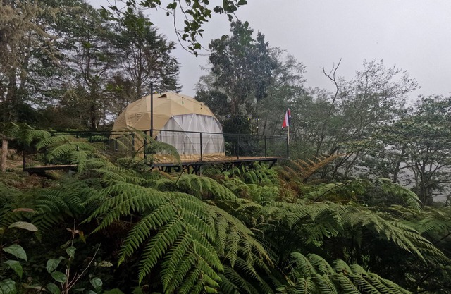 Dome/Glamping La Lechuza