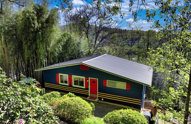Downtown Asheville - The Zurich Swiss MNT Chalet #9A/Low Cost Uber