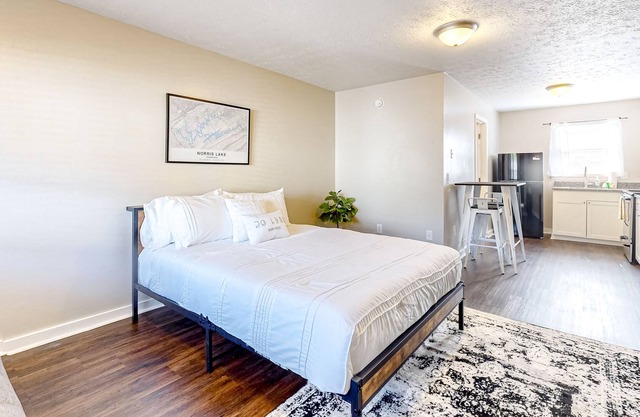 Downtown studio with full kitchen, firepit, BBQ area, fast WiFi, streaming