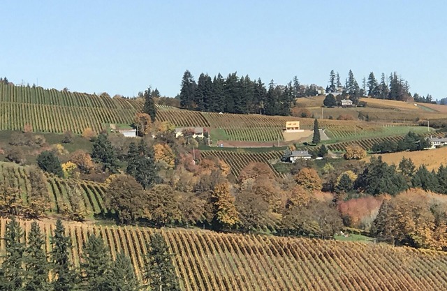 Dundee Hills. 3 Master Suites! Exquisite Oregon Wine Country Experience