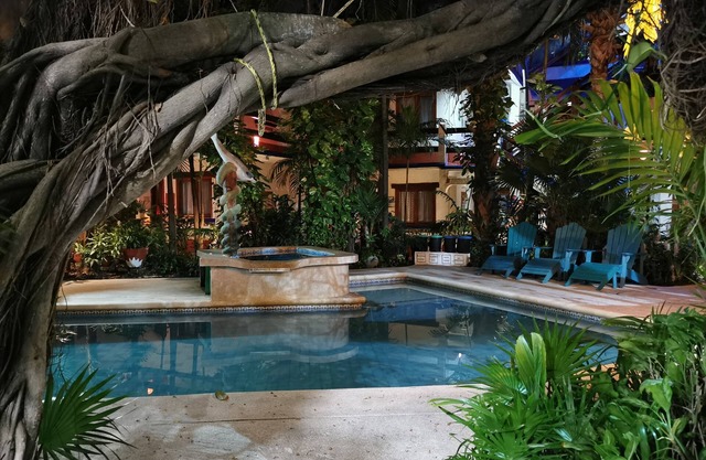 Eco-Hotel El Rey del Caribe