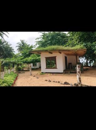Ecolodge praia