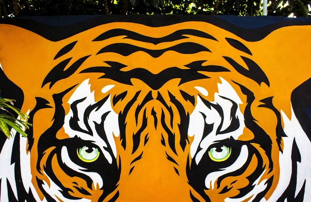 El Tigre de Santiago
