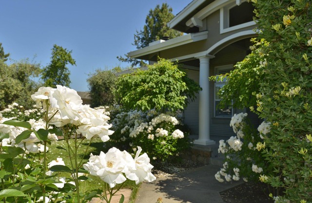 Elegant Yountville Retreat.Your Wine Country Vacation Begins at Your Doorstep