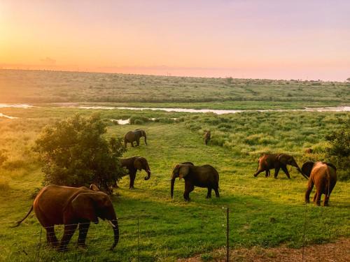 Elephant Walk Tented Camp