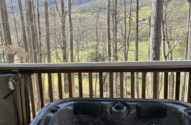 Elizabethton cabin in the woods for R&Rn